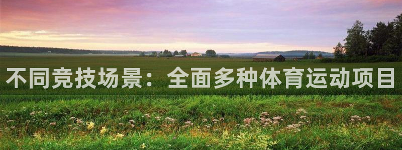 yy易游官网下载平台是正规平台吗知乎:不同竞技场景:全面多种