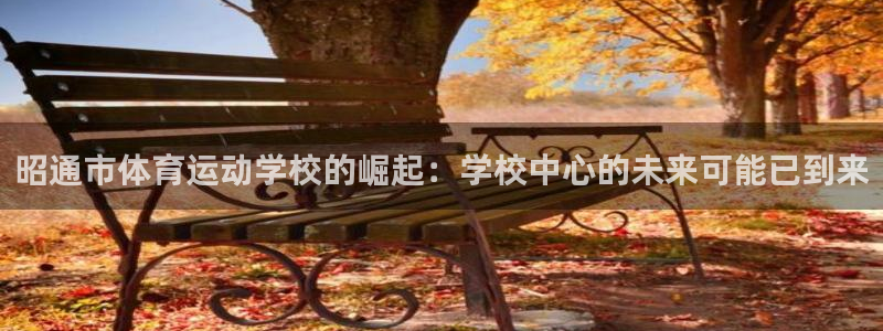 海南yy易游官网下载发展怎么样:昭通市体育运动学校的崛起:学