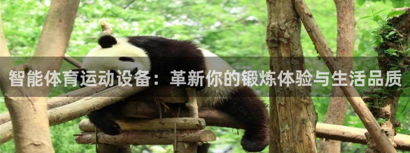 yy易游官网下载招商电话号码查询是多少:智能体育运动设备:革