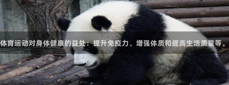 yy易游官方正版app代理:体育运动对身体健康的益处:提升免